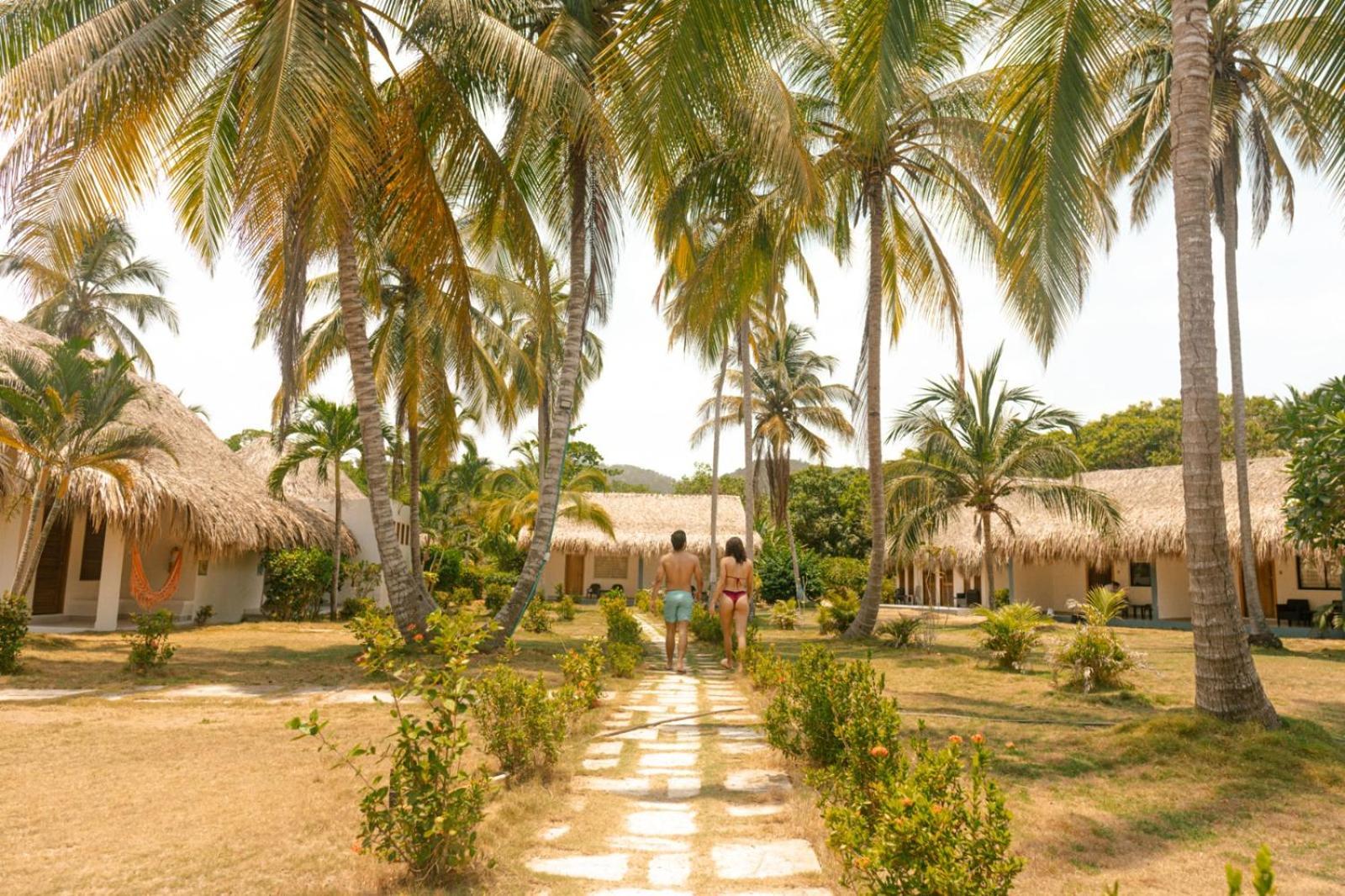 Hukumeizi Palomino Exterior foto
